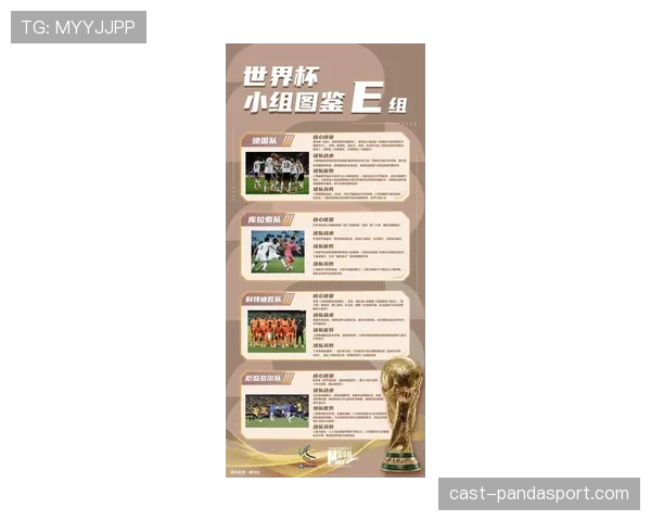 世界杯E组最可能出现的排名